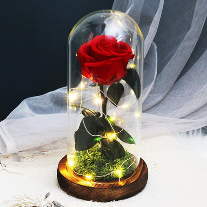 White eternal rose in glass bell