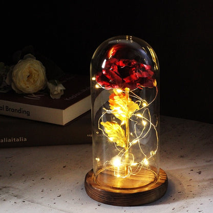 Eternal Rose Under Bell & LED (Choice of Colors) - Eternal Rose Store