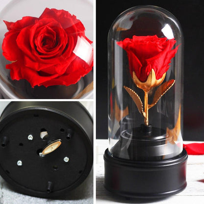 Red Eternal Rose Music Box - Eternal Rose Store