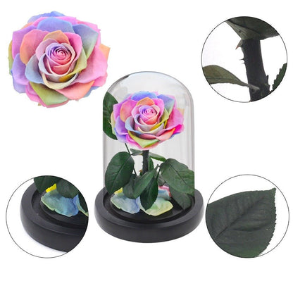 Prestigious Multicolored Rose with Box