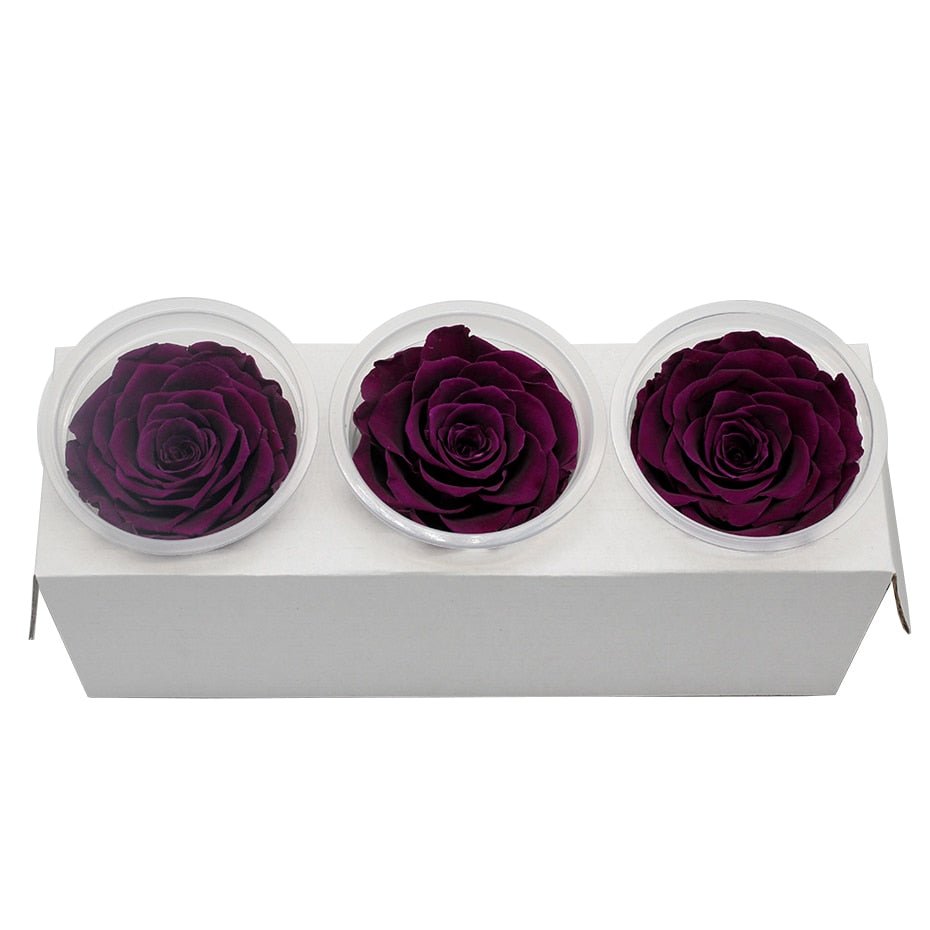 Eternal Roses Box Choice of Colors (Pack of 3) - Eternal Rose Store