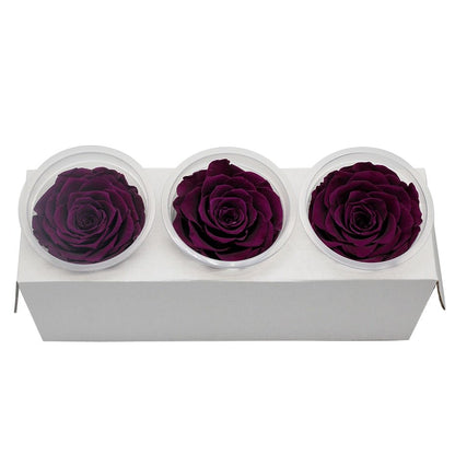 Eternal Roses Box Choice of Colors (Pack of 3) - Eternal Rose Store