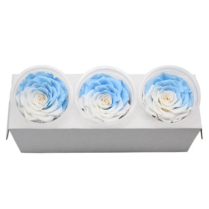 Eternal Roses Box Choice of Colors (Pack of 3) - Eternal Rose Store