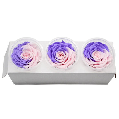 Eternal Roses Box Choice of Colors (Pack of 3) - Eternal Rose Store