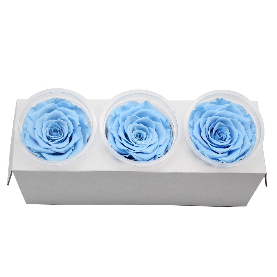 Eternal Roses Blue Flower Box (Pack of 3) - Eternal Rose Store