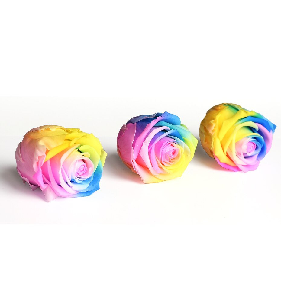 Eternal Roses Multicolored Box (Pack of 6) - Eternal Rose Store