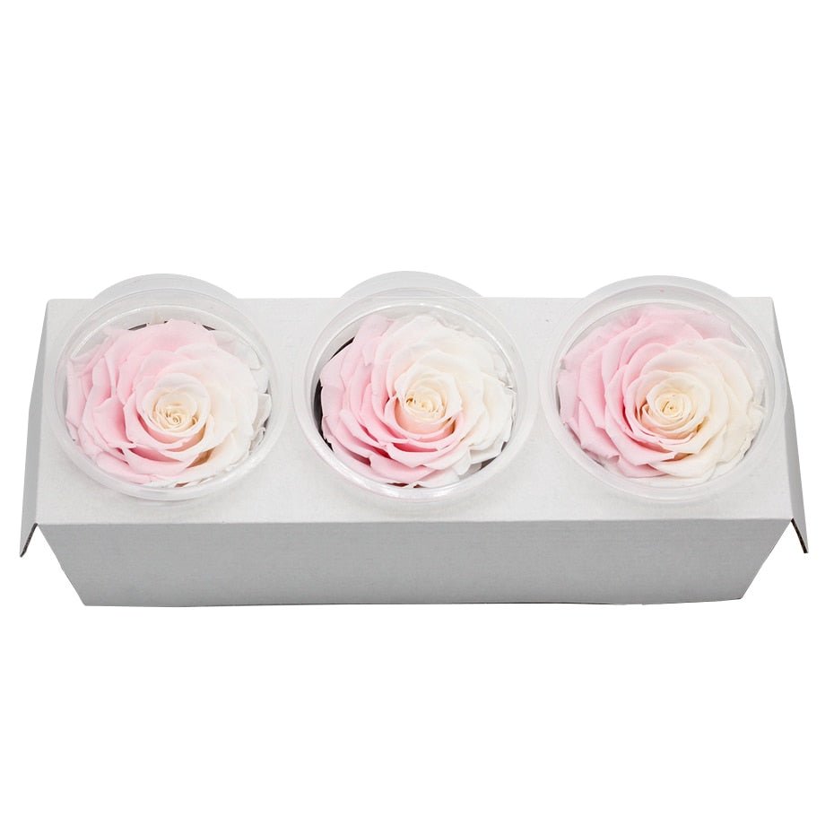 Eternal Roses Box Choice of Colors (Pack of 3) - Eternal Rose Store