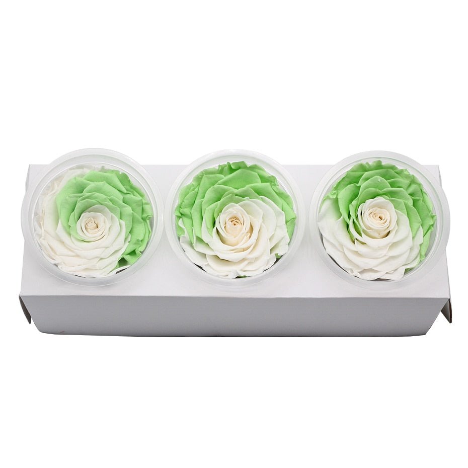 Eternal Roses Box Choice of Colors (Pack of 3) - Eternal Rose Store