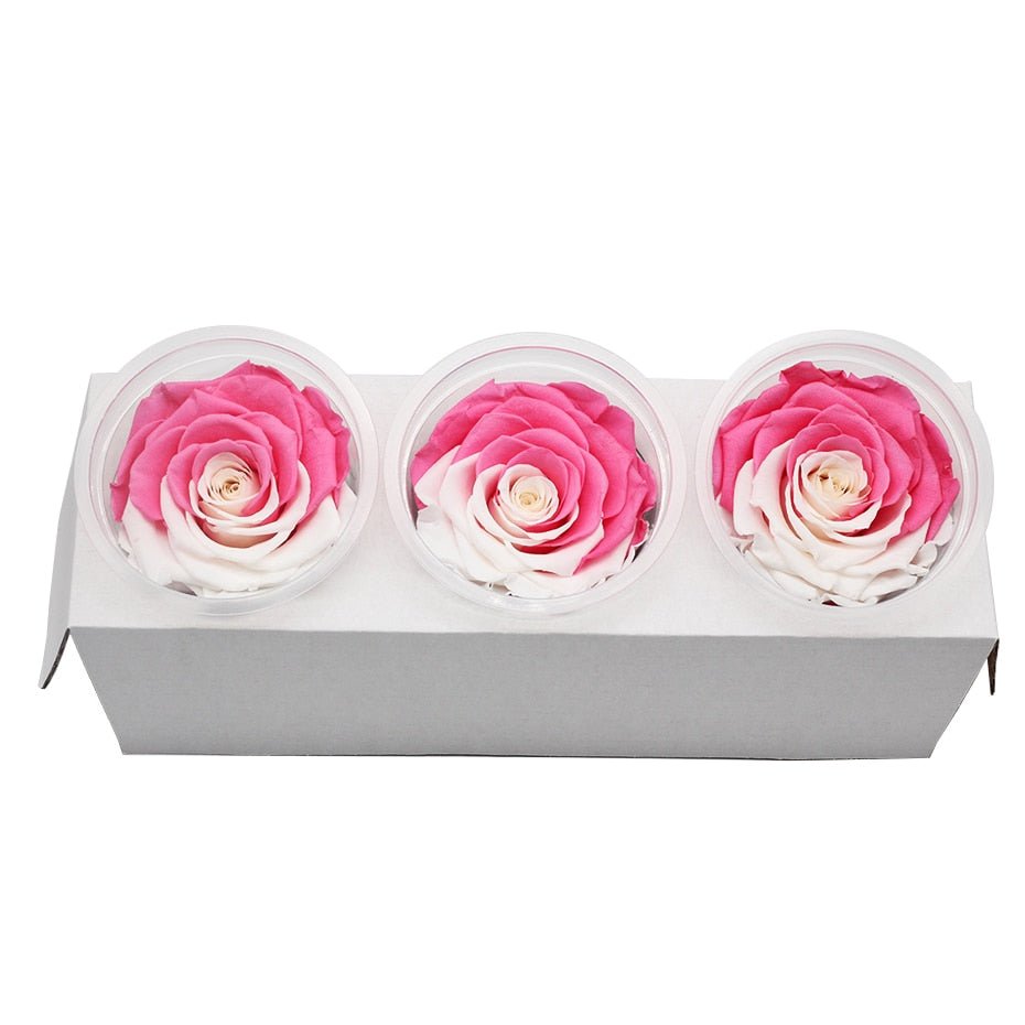 Eternal Roses Box Choice of Colors (Pack of 3) - Eternal Rose Store