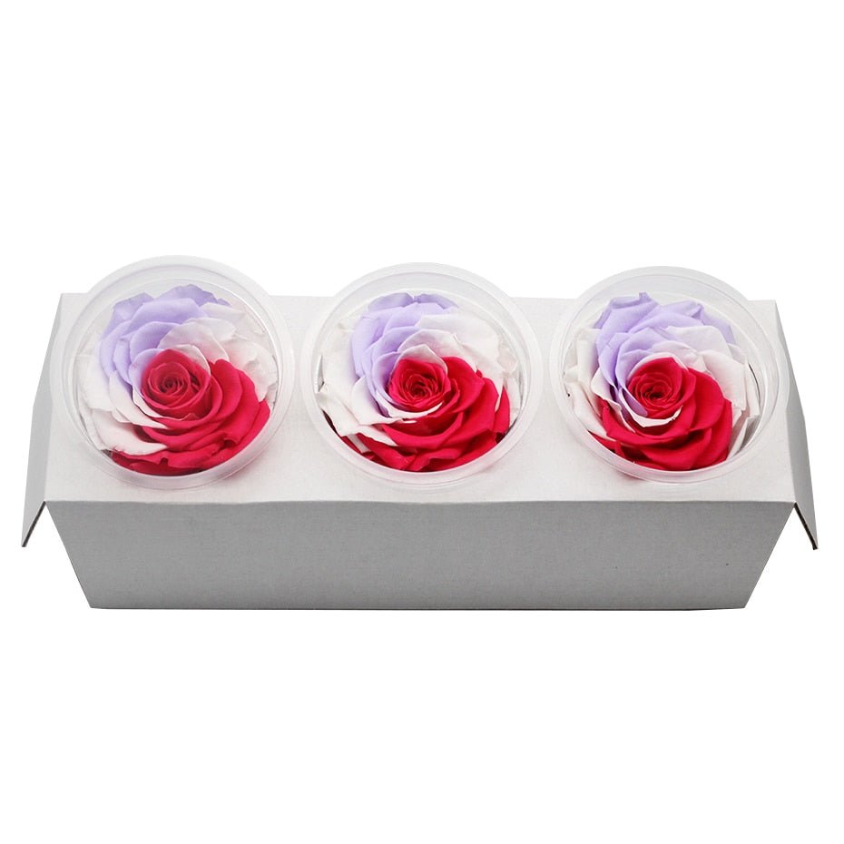 Eternal Roses Box Choice of Colors (Pack of 3) - Eternal Rose Store