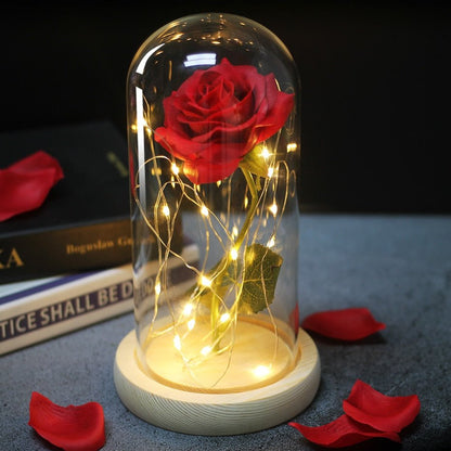 Eternal Rose Under Bell & LED (Choice of Colors) - Eternal Rose Store