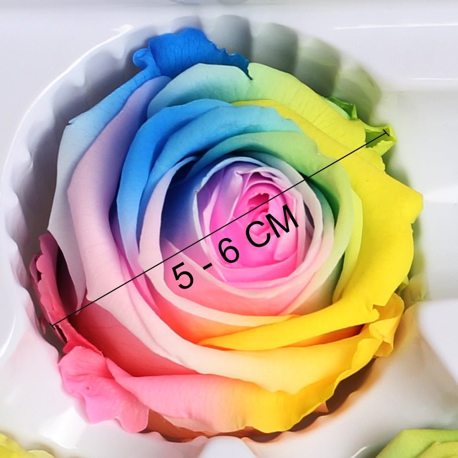 Eternal Roses Multicolored Box (Pack of 6) - Eternal Rose Store