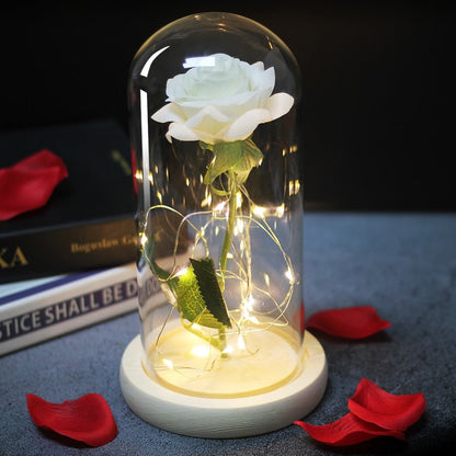 Eternal Rose Under Bell & LED (Choice of Colors) - Eternal Rose Store