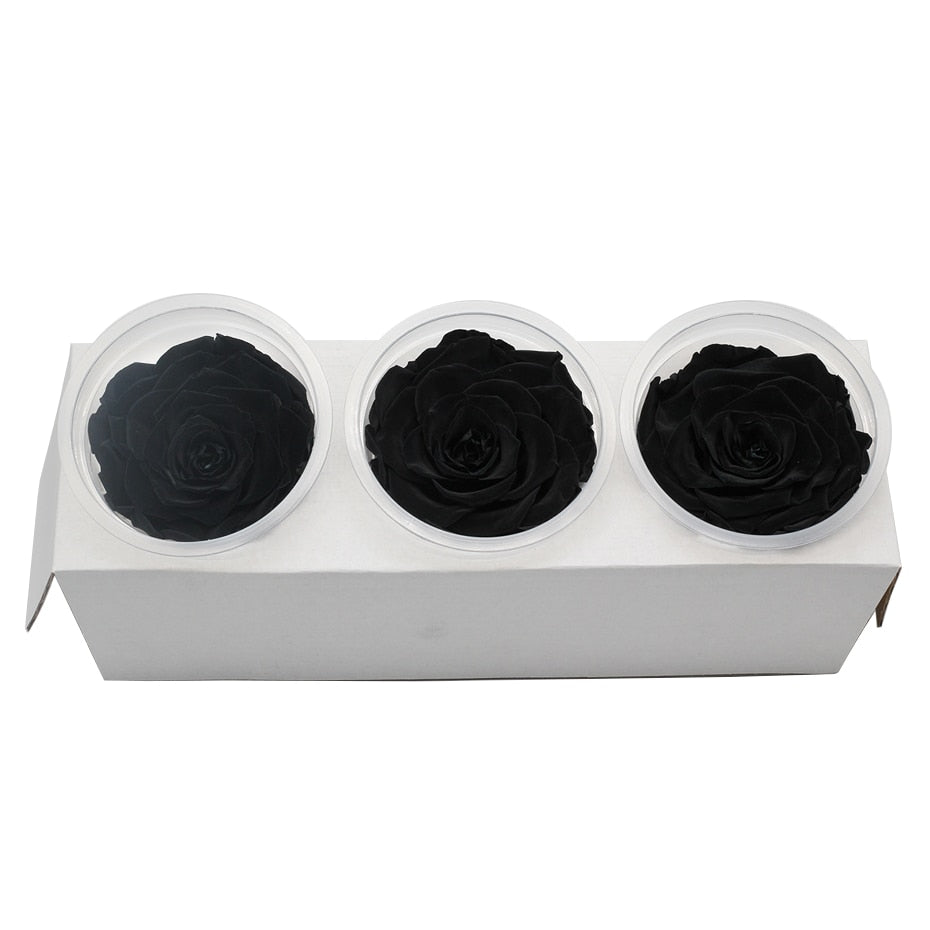 Eternal Roses Box Choice of Colors (Pack of 3) - Eternal Rose Store