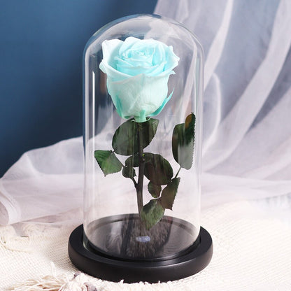 White eternal rose in glass bell