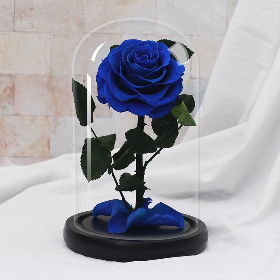 White eternal rose in glass bell