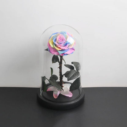 Prestigious Multicolored Rose with Box