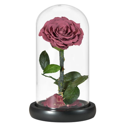 Eternal Rose in Heart Under Bell (Choice of Color)