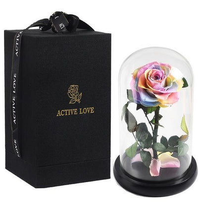 Prestigious Multicolored Rose with Box