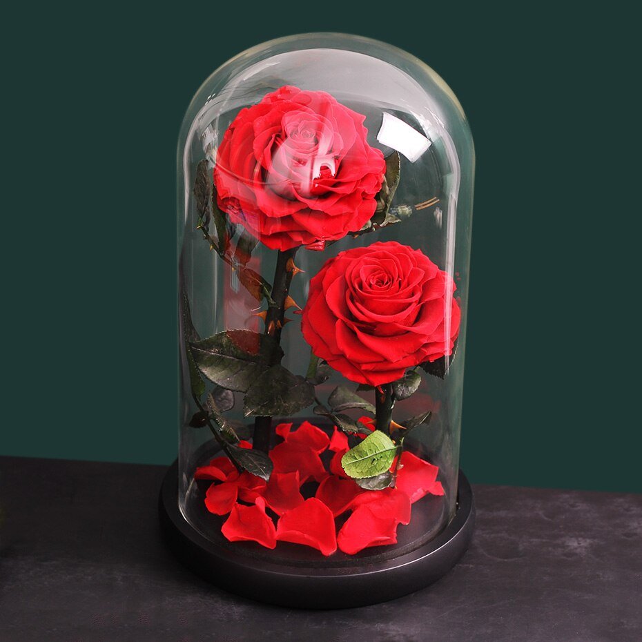 White eternal rose in glass bell