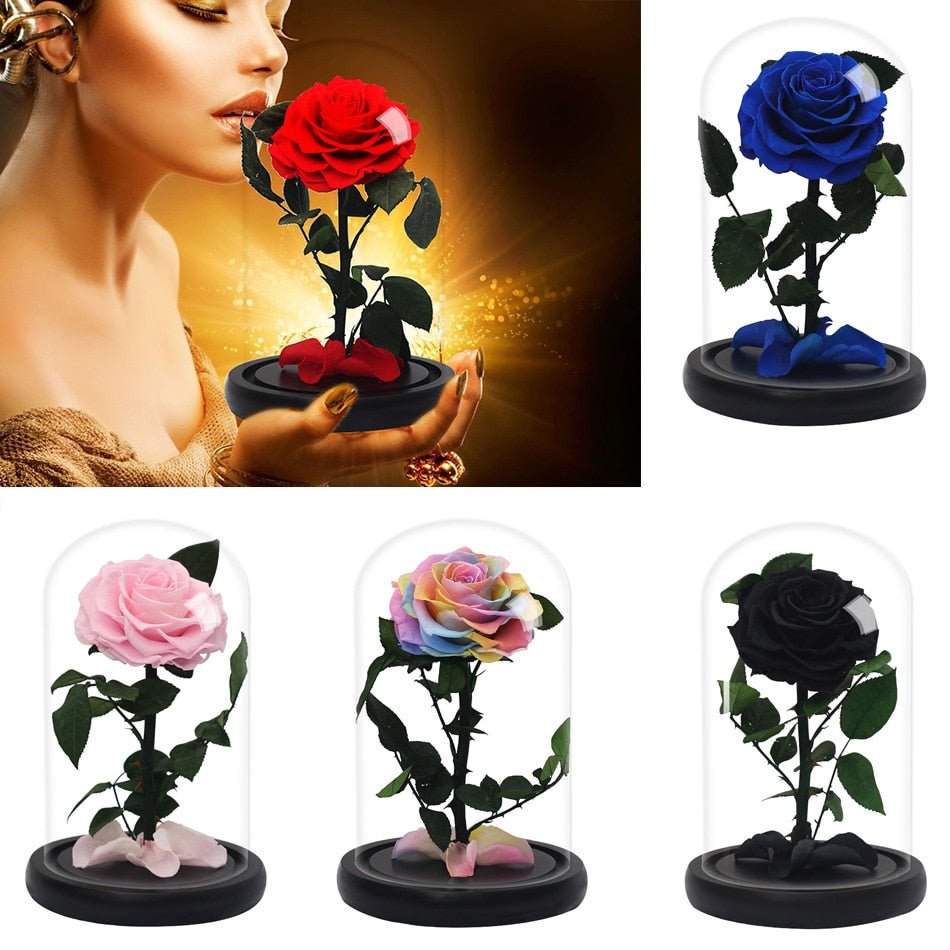 Premium Eternal Rose (Style of your choice) - Eternal Rose Store