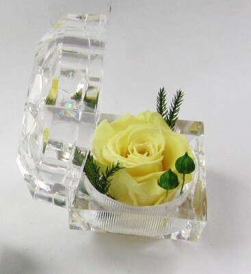 Eternal Rose small glass box (choice of color)