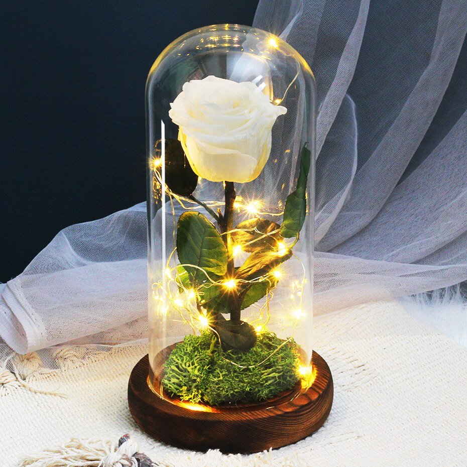 White eternal rose in glass bell