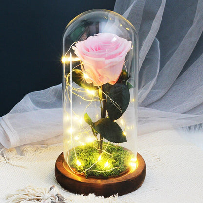 White eternal rose in glass bell