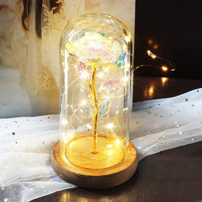 Eternal Rose Under Bell & LED (Choice of Colors) - Eternal Rose Store