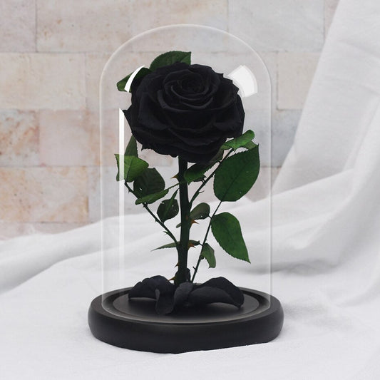 Eternal Rose Supreme Black