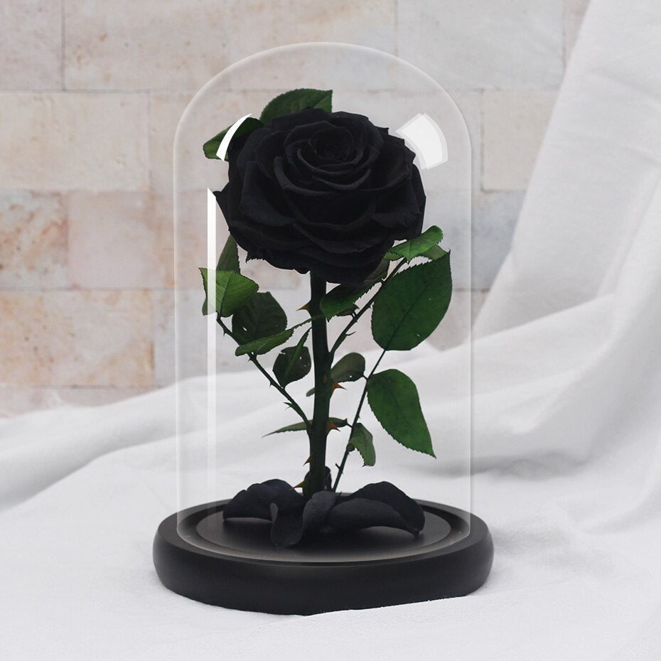 White eternal rose in glass bell