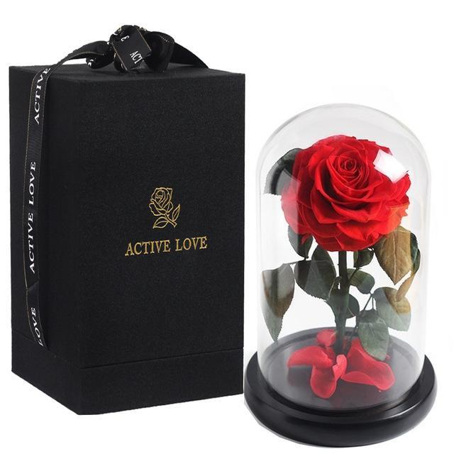 Prestigious Red Rose with Box