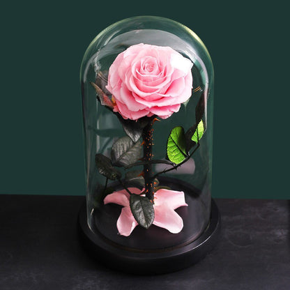 Premium Eternal Rose (Style of your choice) - Eternal Rose Store