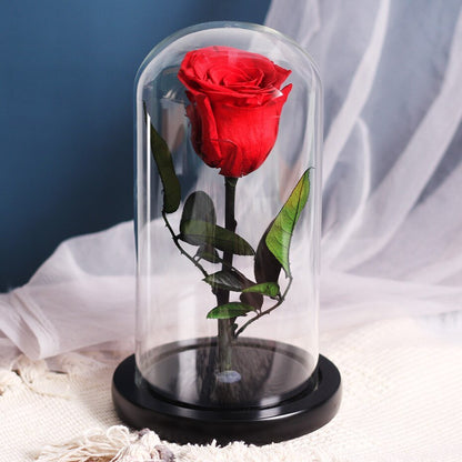 White eternal rose in glass bell