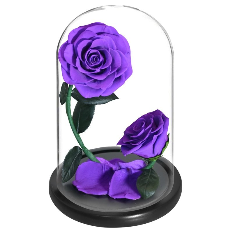 Prestigious Duo of Eternal Roses (Color Choice Available)