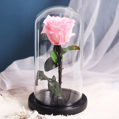 White eternal rose in glass bell