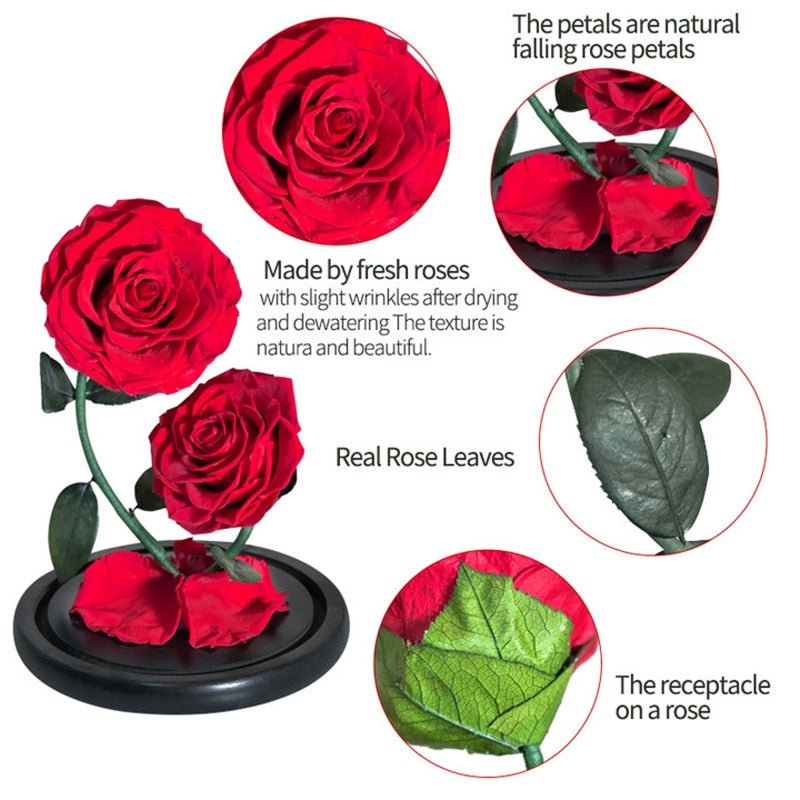 Prestigious Duo of Eternal Roses (Color Choice Available)