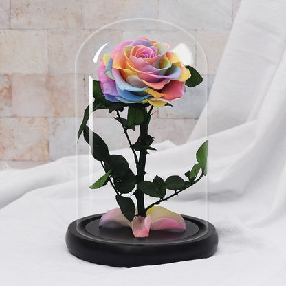 White eternal rose in glass bell