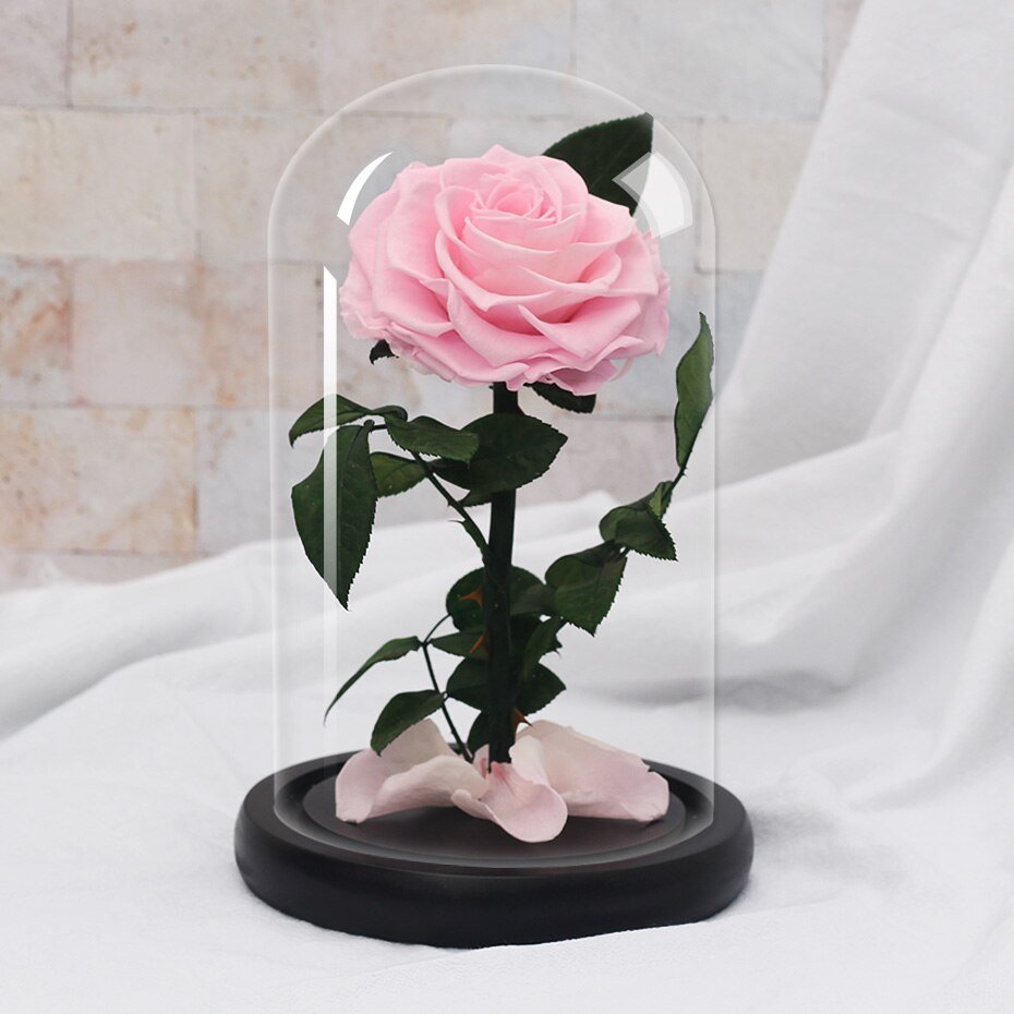 White eternal rose in glass bell