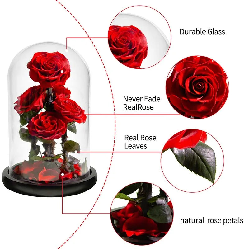 Premium Eternal Rose in Glass Dome ( color choice )