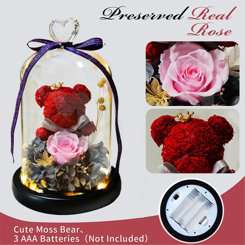 LED Light Bear with Eternal Rose ( color choice )