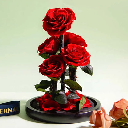 Premium Eternal Rose in Glass Dome ( color choice )