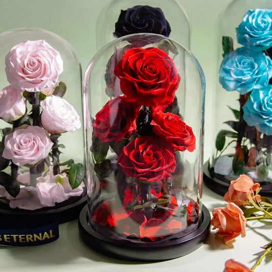 Premium Eternal Rose in Glass Dome ( color choice )